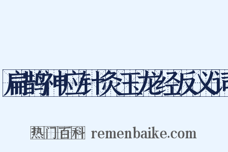 扁鹊神应针灸玉龙经反义词是什么意思的图片